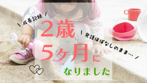 2歳5ヶ月になりました